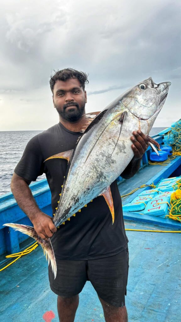 Types of Tuna Fish